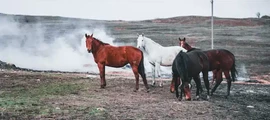 Ramenskoye : prenájom súkromného lietadla