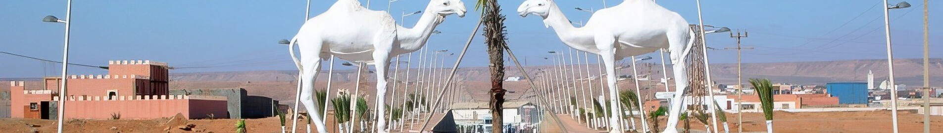 Tan-Tan : prenájom súkromného lietadla 