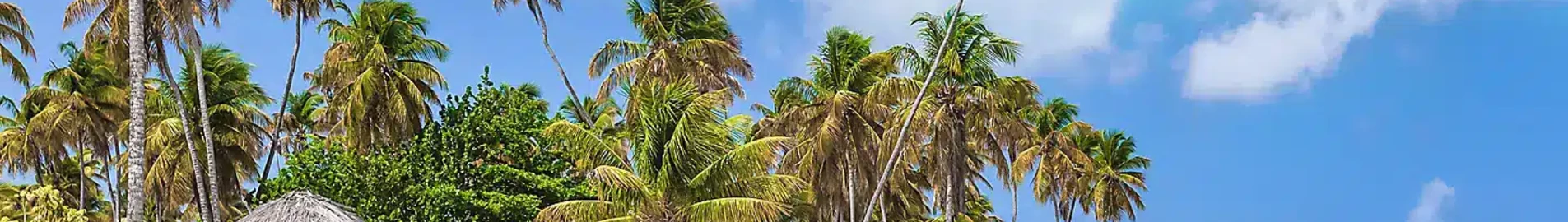 Tobago Scarborough Crown Point : prenájom súkromného lietadla 