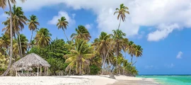 Trinidad Piarco : prenájom súkromného lietadla
