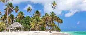 Tobago Scarborough Crown Point : prenájom súkromného lietadla 