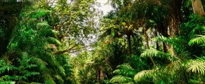 Trinidad a Tobago : Prenájom súkromného lietadla
