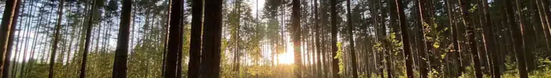 Tver Migalovo: prenájom súkromného lietadla