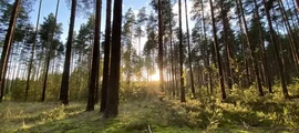Alykel : prenájom súkromného lietadla 