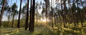 Tver Migalovo: prenájom súkromného lietadla