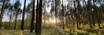 ambilobe: location de jet privé