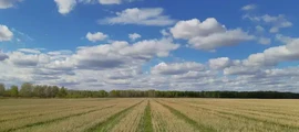 Nizhnevartovsk Nizhnevartovsk : location de jet privé