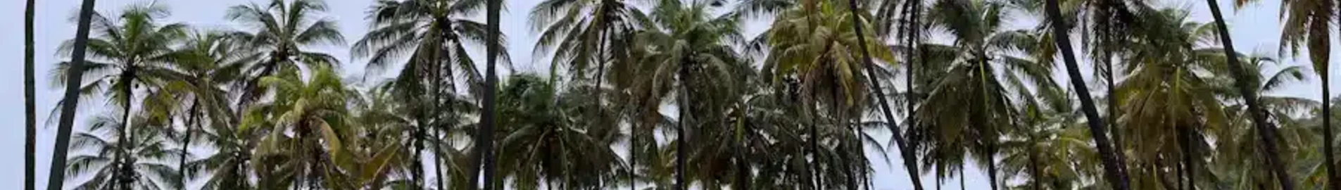 Union Island : prenájom súkromného lietadla