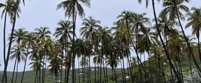 Union Island : prenájom súkromného lietadla