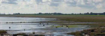 Wilhelmshaven Mariensiel : location de jet privé