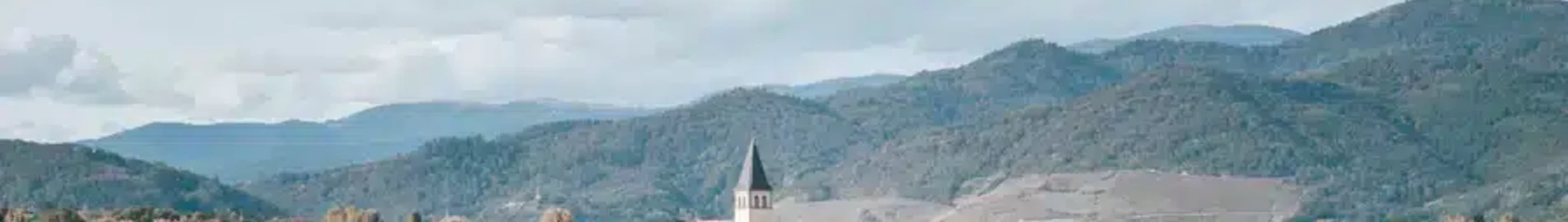 Rezanie