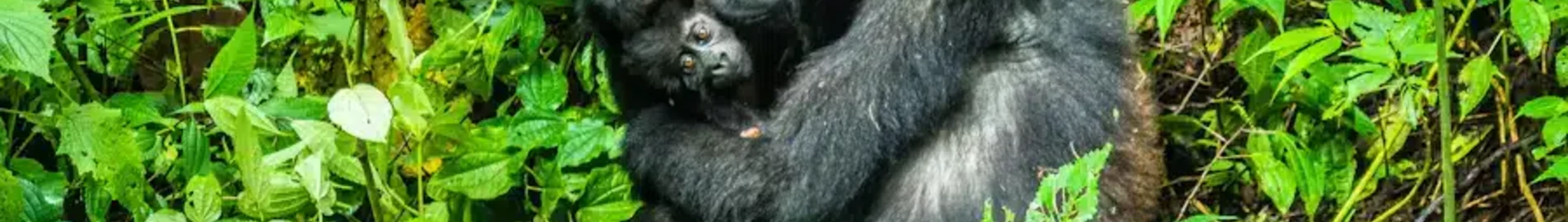 Muanda: prenájom súkromného lietadla