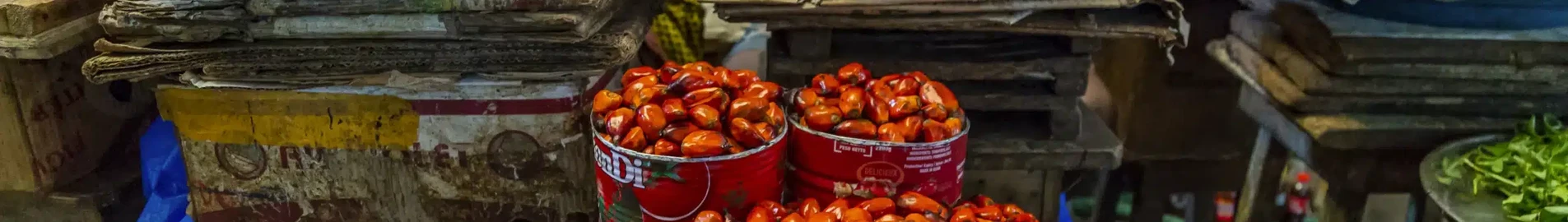 Yamoussoukro : prenájom súkromného lietadla