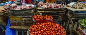 Yamoussoukro : prenájom súkromného lietadla