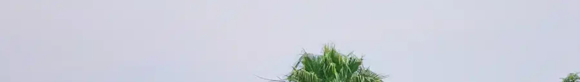 Bunia : prenájom súkromného lietadla