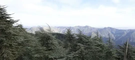 Tiaret Bou Chekif prenájom súkromného lietadla