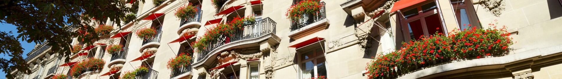 Luxusný hotel v Paríži: pobyt snov v Hôtel Plaza Athénée