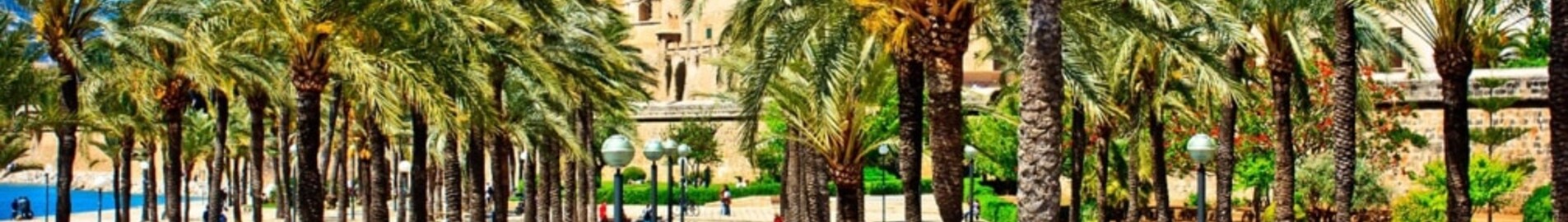 Neapol - Palma de Mallorca: prenájom súkromného lietadla