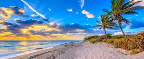 Ženeva - Palm Beach : prenájom súkromného lietadla