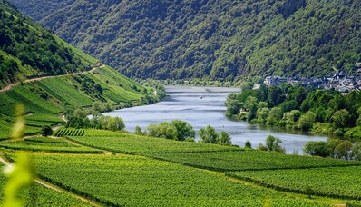 Európske vinice, ktoré môžete navštíviť súkromným lietadlom