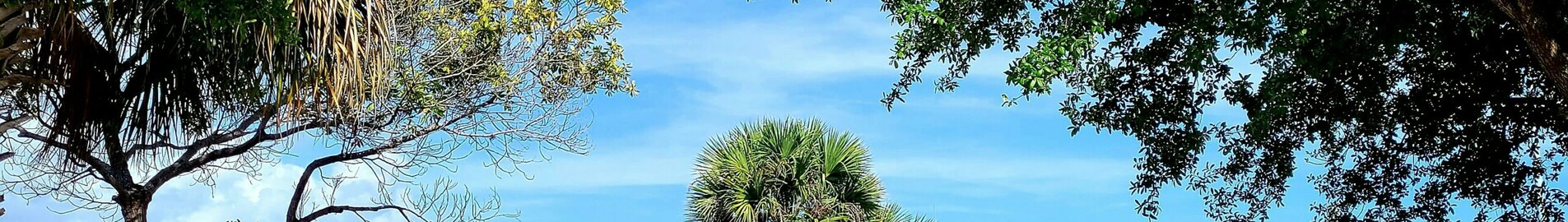 Los Angeles - Tampa : prenájom súkromného lietadla