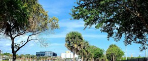 Los Angeles - Tampa : prenájom súkromného lietadla