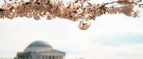 Las Vegas - Washington DC : prenájom súkromného lietadla