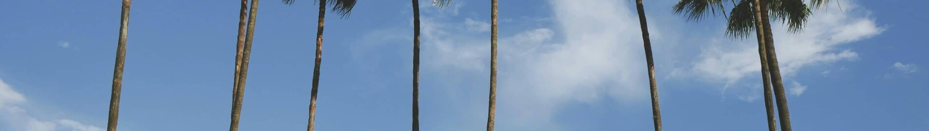 Los Angeles - Orlando : prenájom súkromného lietadla