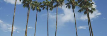 olbia : location de jet privé