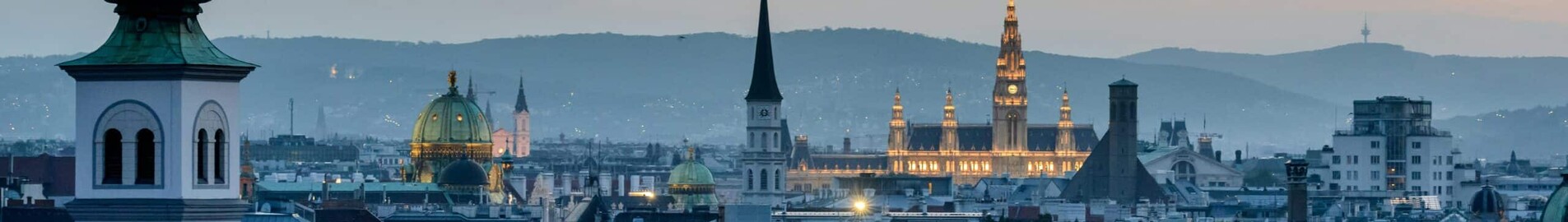 Hamburg - Viedeň : prenájom súkromného lietadla