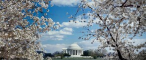 New York - Washington DC : prenájom súkromného lietadla